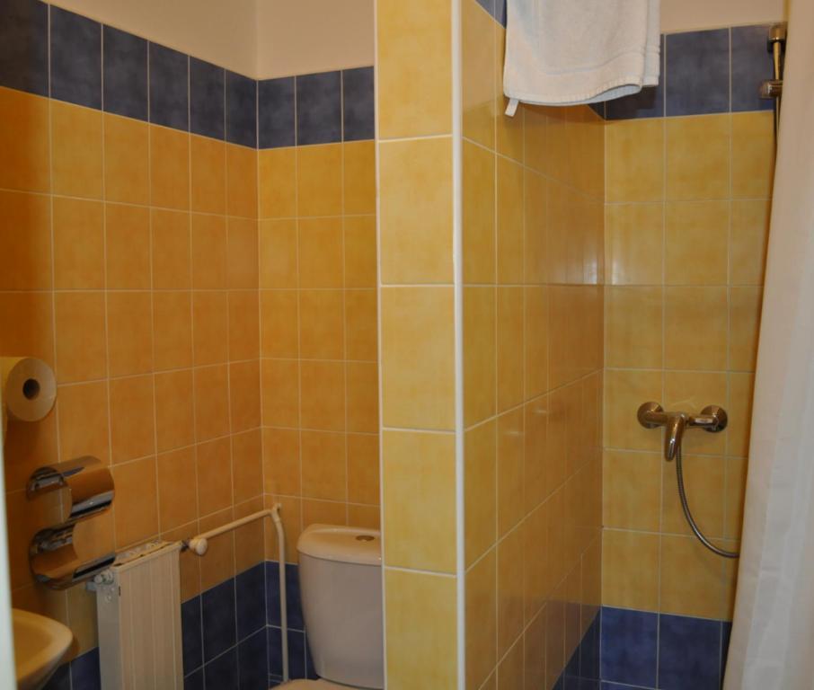 Sport Hotel Ostrov Trenčín 객실 사진